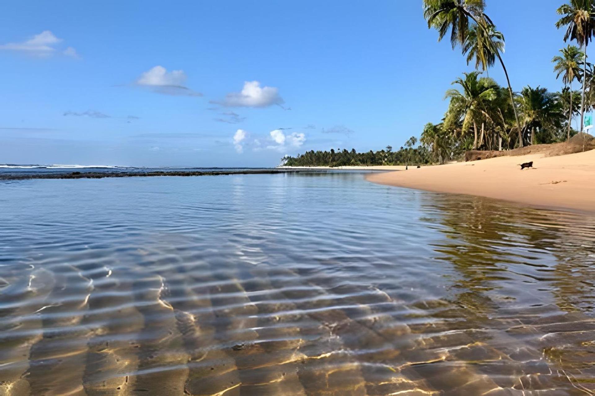 Praia Do Forte Apartamento Fantastico Экстерьер фото